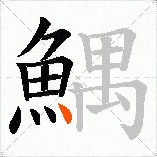 鰅