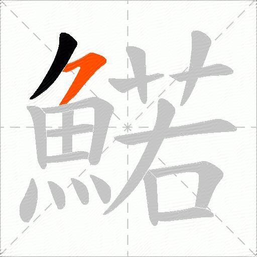鰙