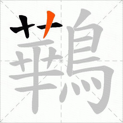 鷨