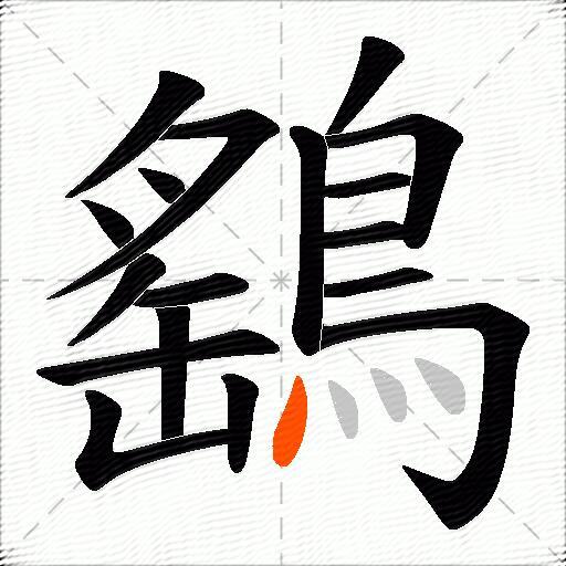 鷂