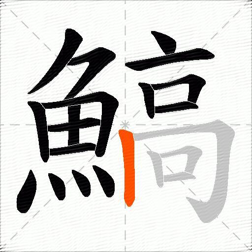 鰝