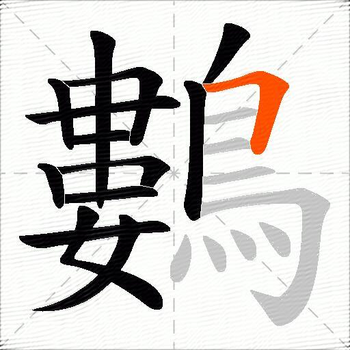 鷜