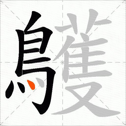 鸌