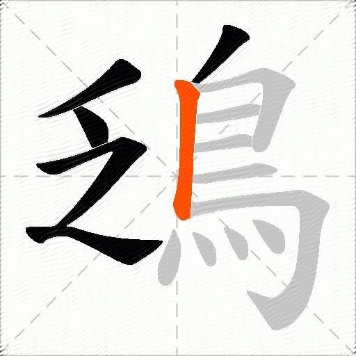鴔