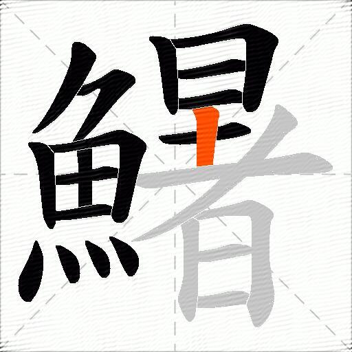 鱪