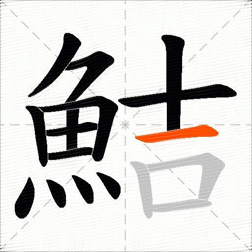 鮚