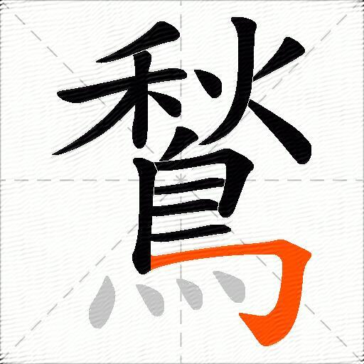 鶖