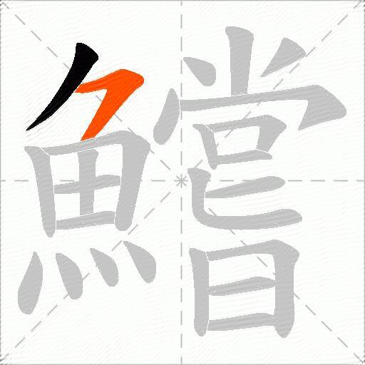 鱨