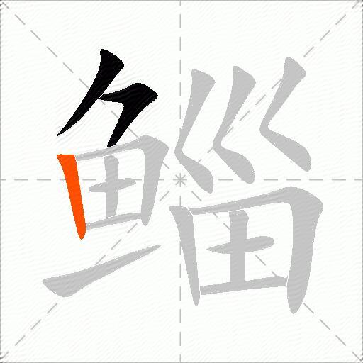 鲻