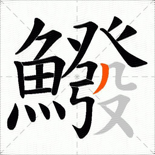 鱍