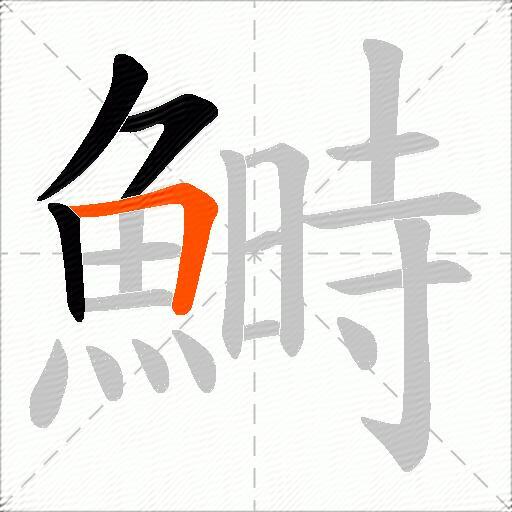 鰣