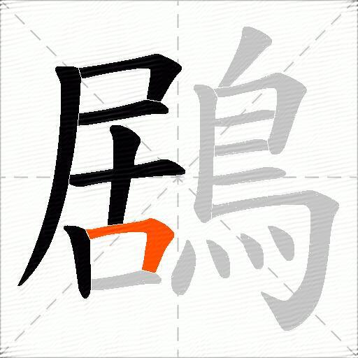鶋