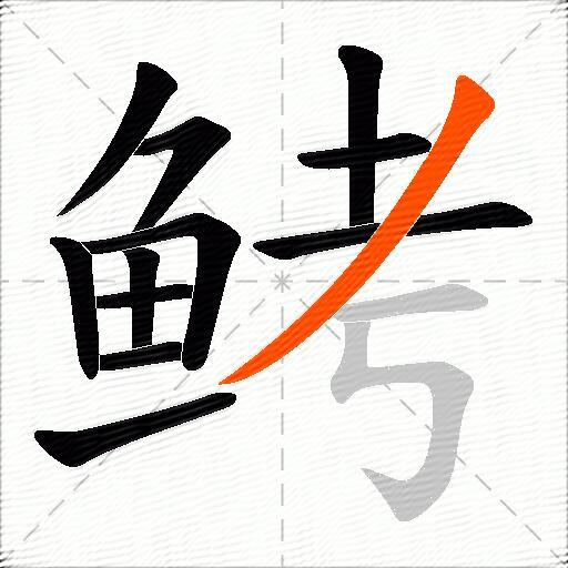 鲓