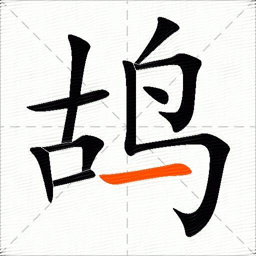 鸪