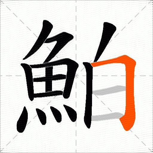 鮊