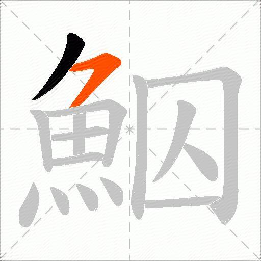 鮂