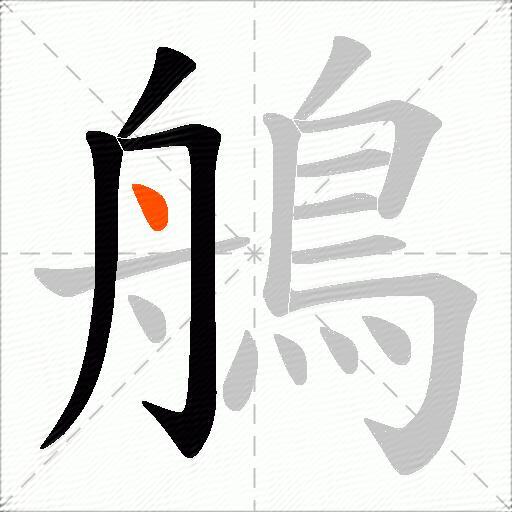 鵃