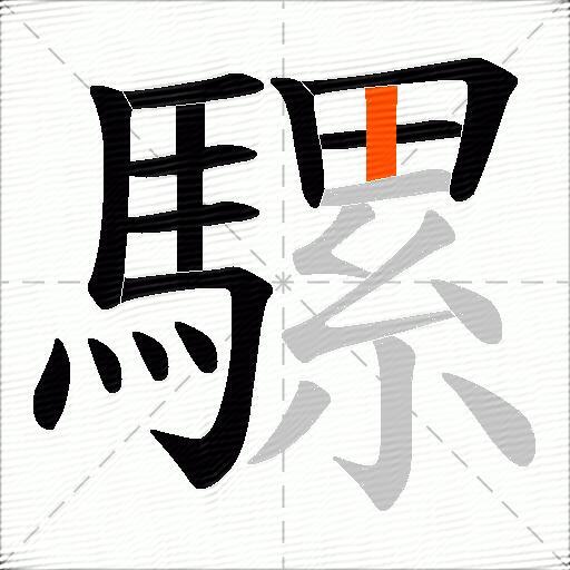 騾