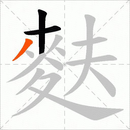 麩
