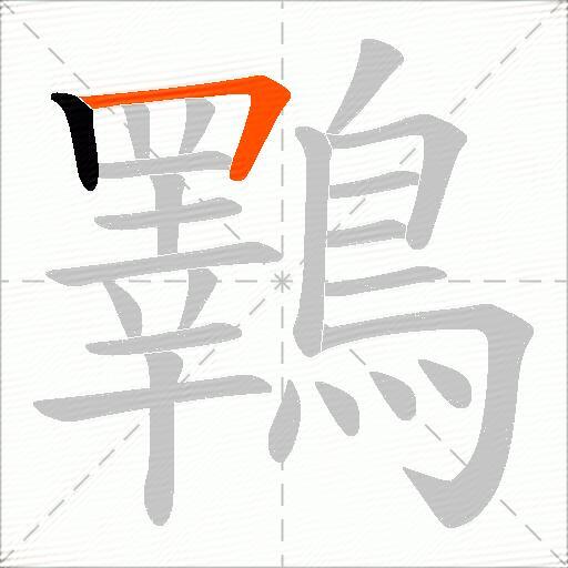 鸅