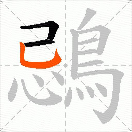 鵋