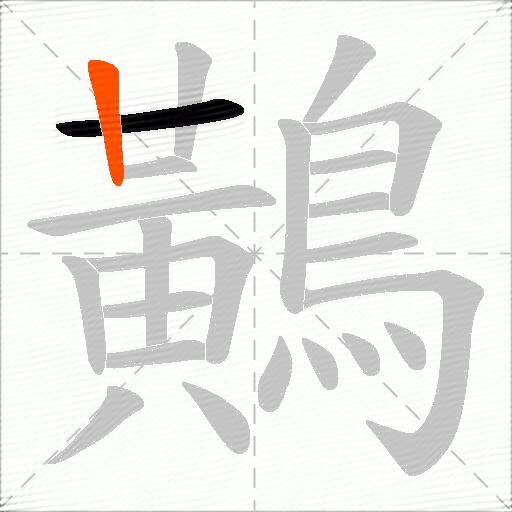鷬