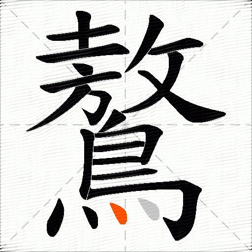 鷔