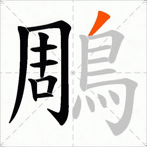 鵰