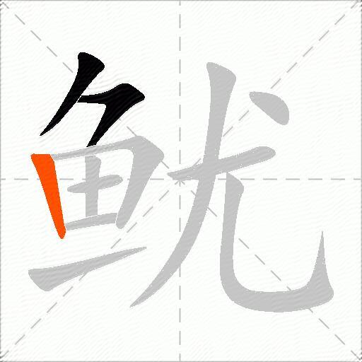 鱿
