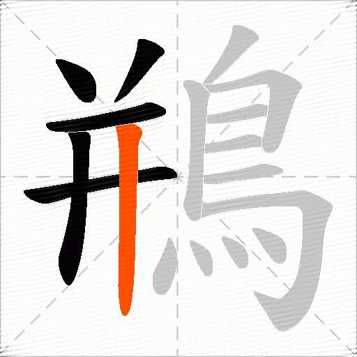 鵧