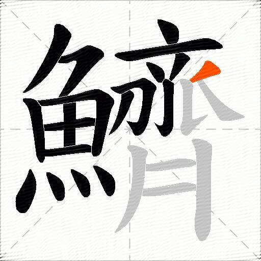 鱭