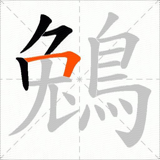 鵵