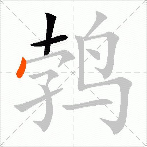 鹁