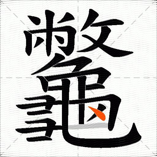 龞