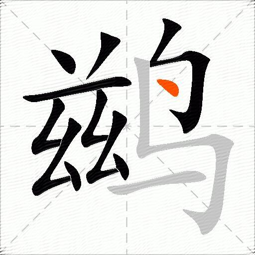 鹚
