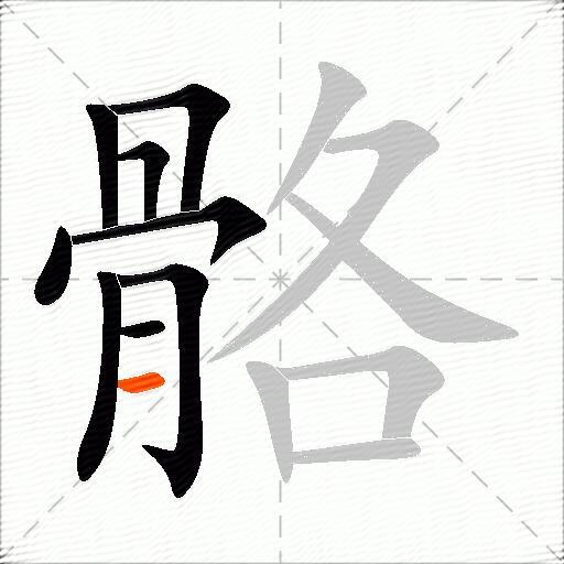 骼