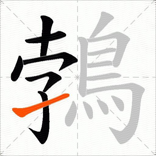 鵓
