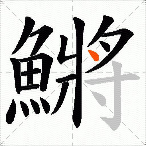 鱂