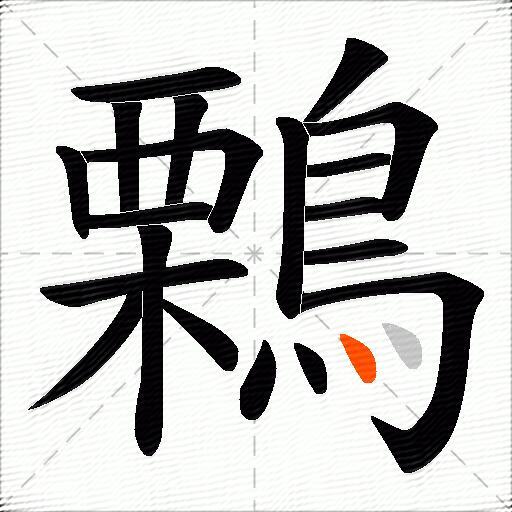 鷅