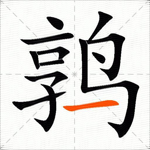 鹑