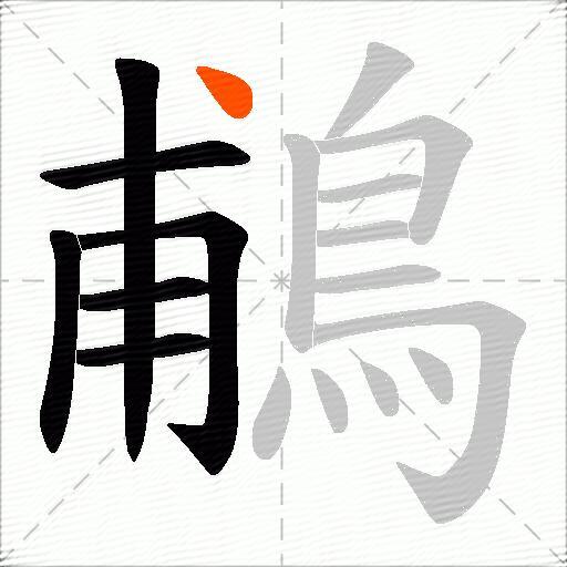 鵏