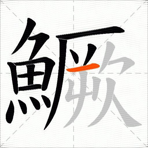 鱖