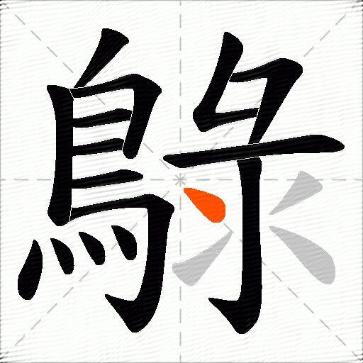 鵦