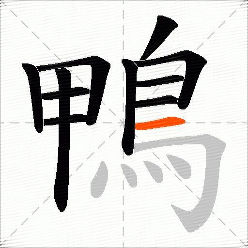 鴨