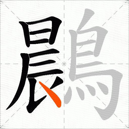 鷐