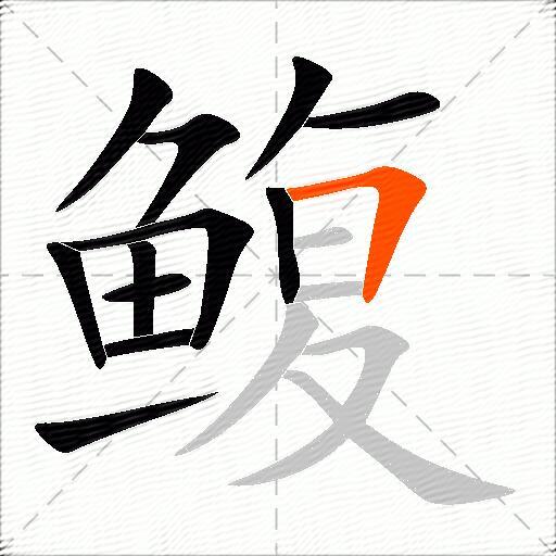 鳆