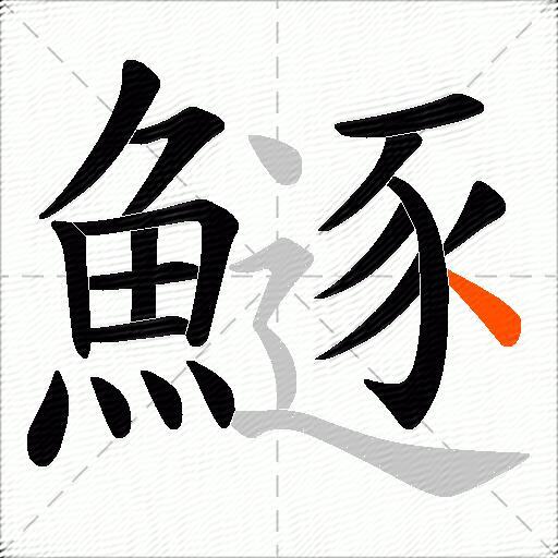 鱁