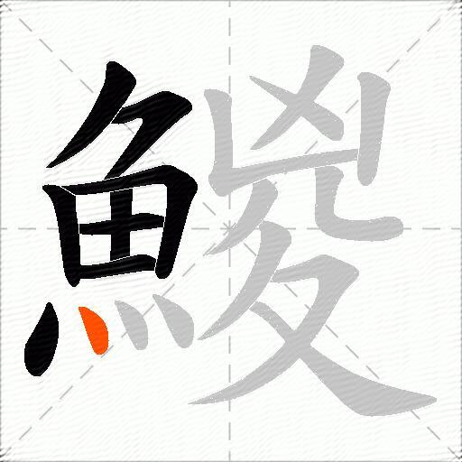 鯼