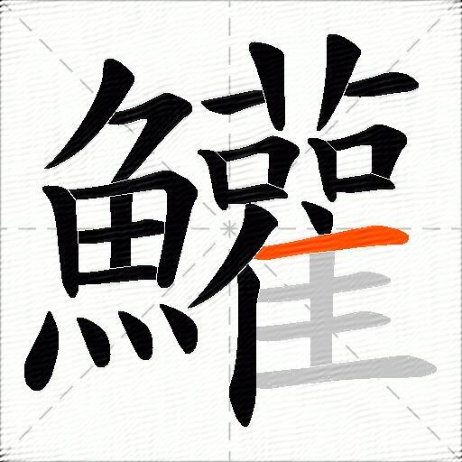 鱹