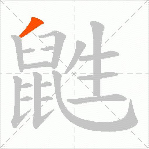 鼪
